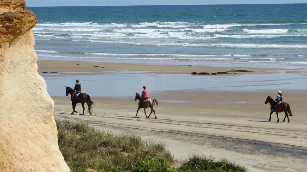 Baylys Beach Holiday Park المظهر الخارجي الصورة